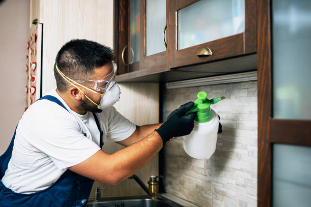 Best Pest Prevention Services  in Cadiz, KY