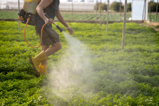 Best Commercial Pest Control Services  in Cadiz, KY